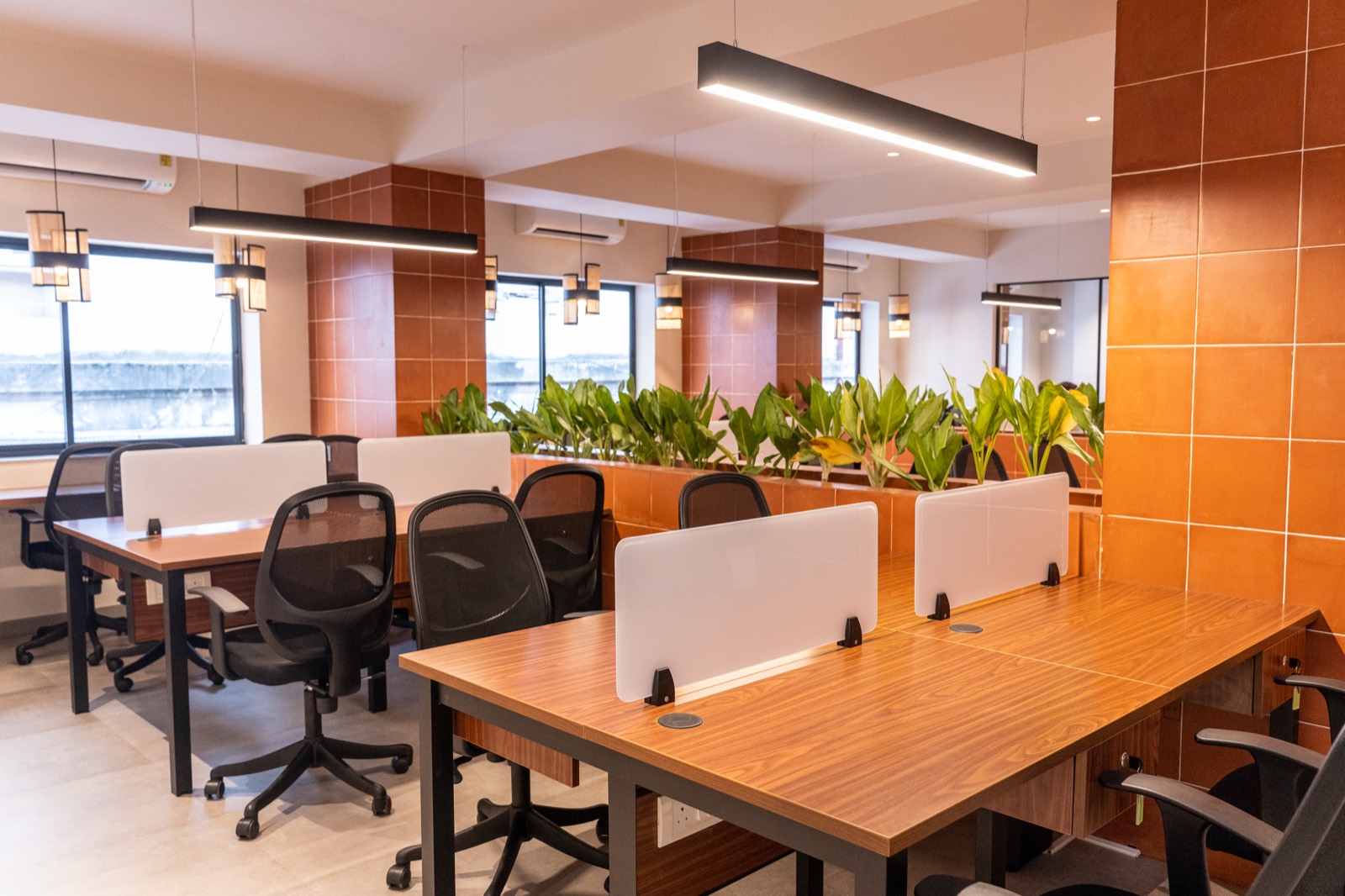 The open workspace at GreenCove, with wooden desks, planters, and terracotta tiles
