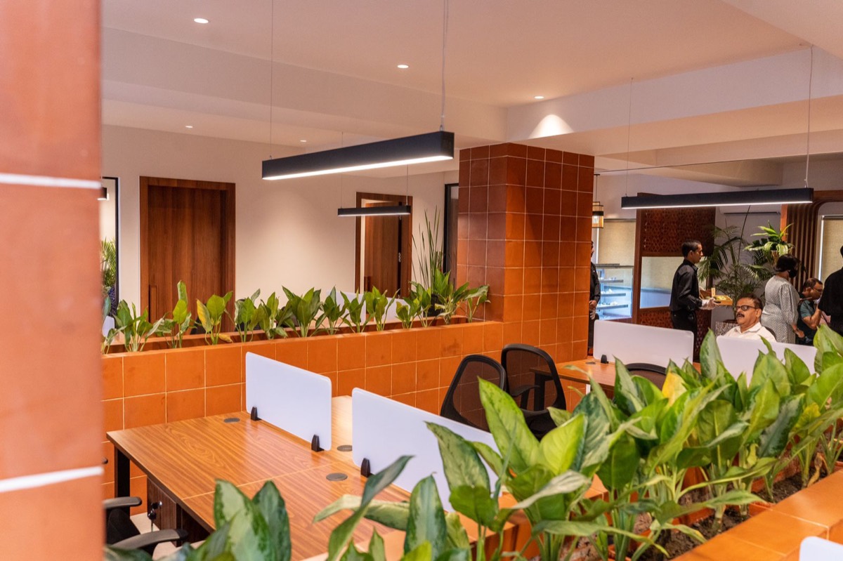 Open desks beside the planters in the shared workspace